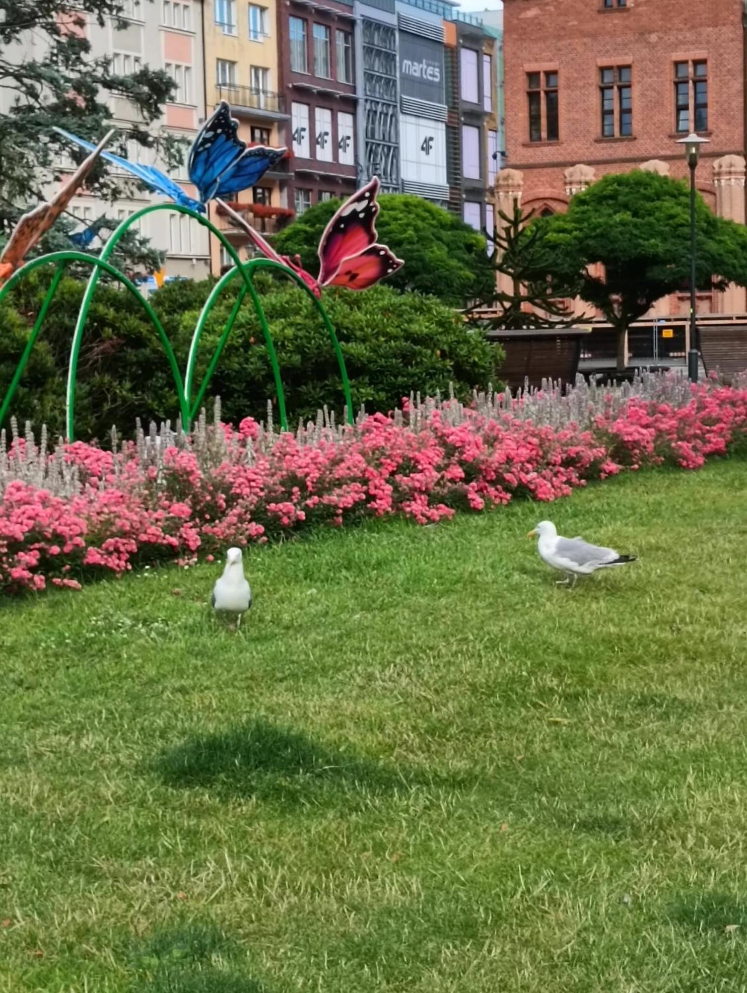 Apartament Ale Laba Kołobrzeg Esterno foto