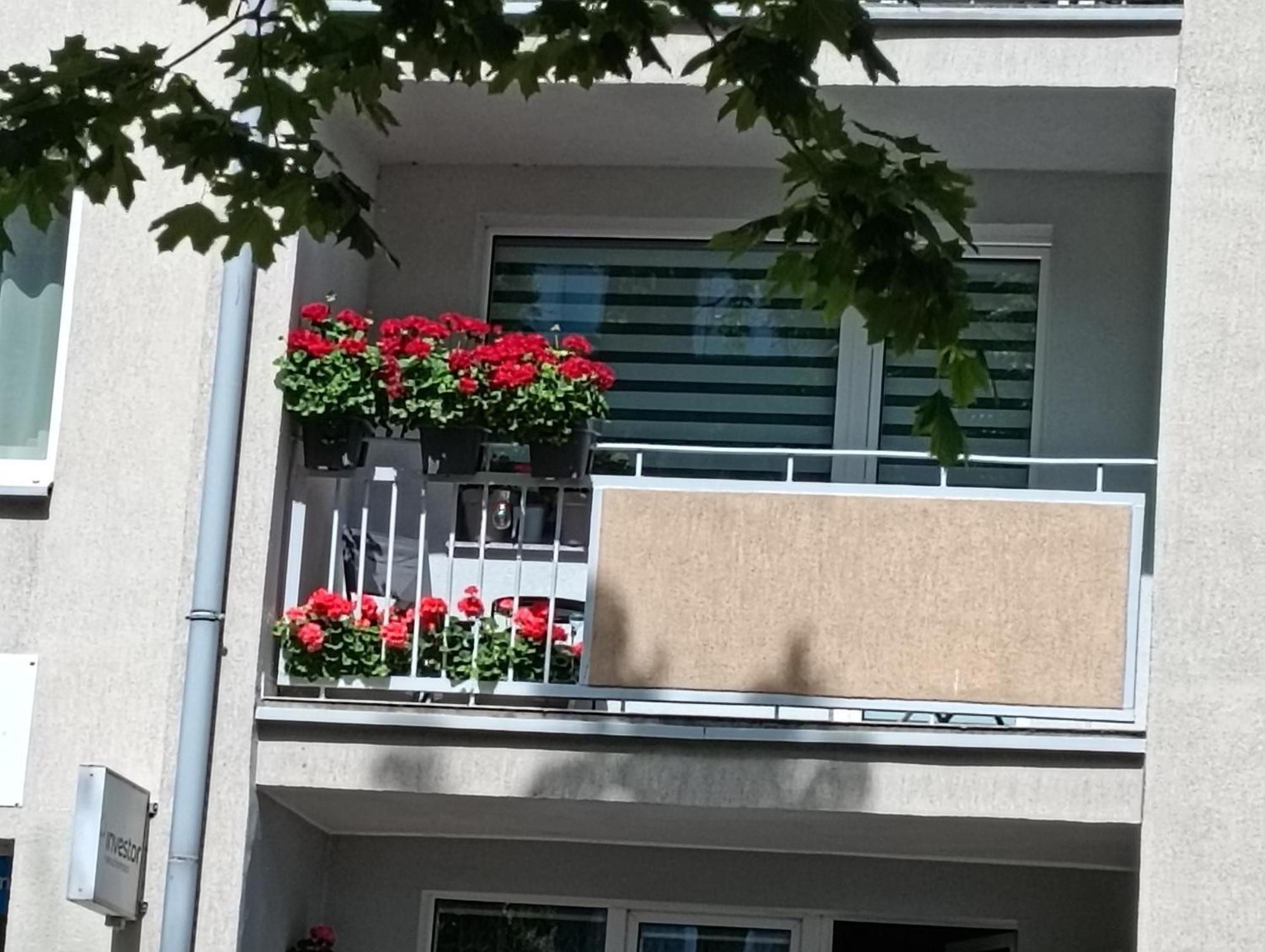 Apartament Ale Laba Kołobrzeg Esterno foto