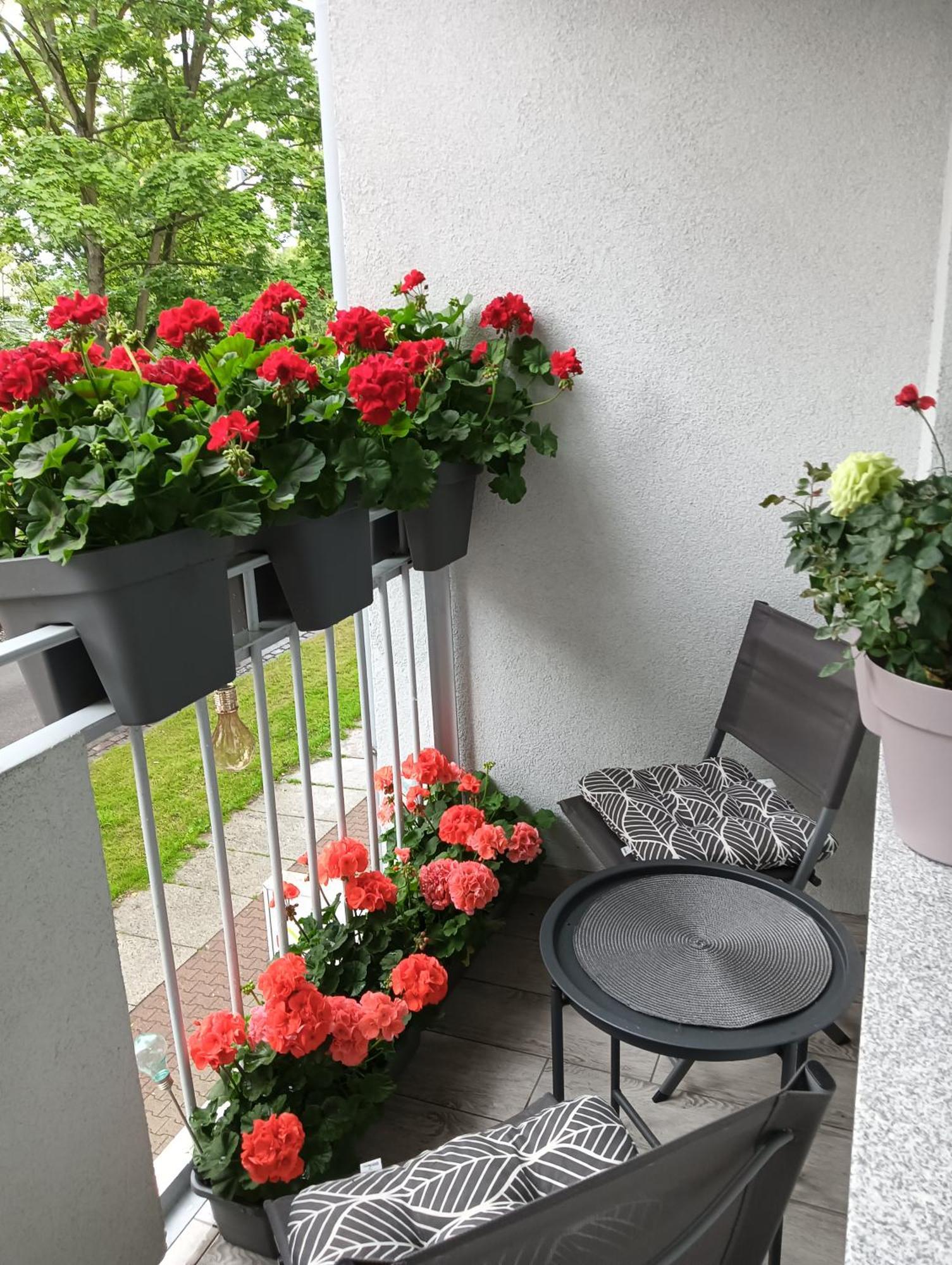 Apartament Ale Laba Kołobrzeg Esterno foto