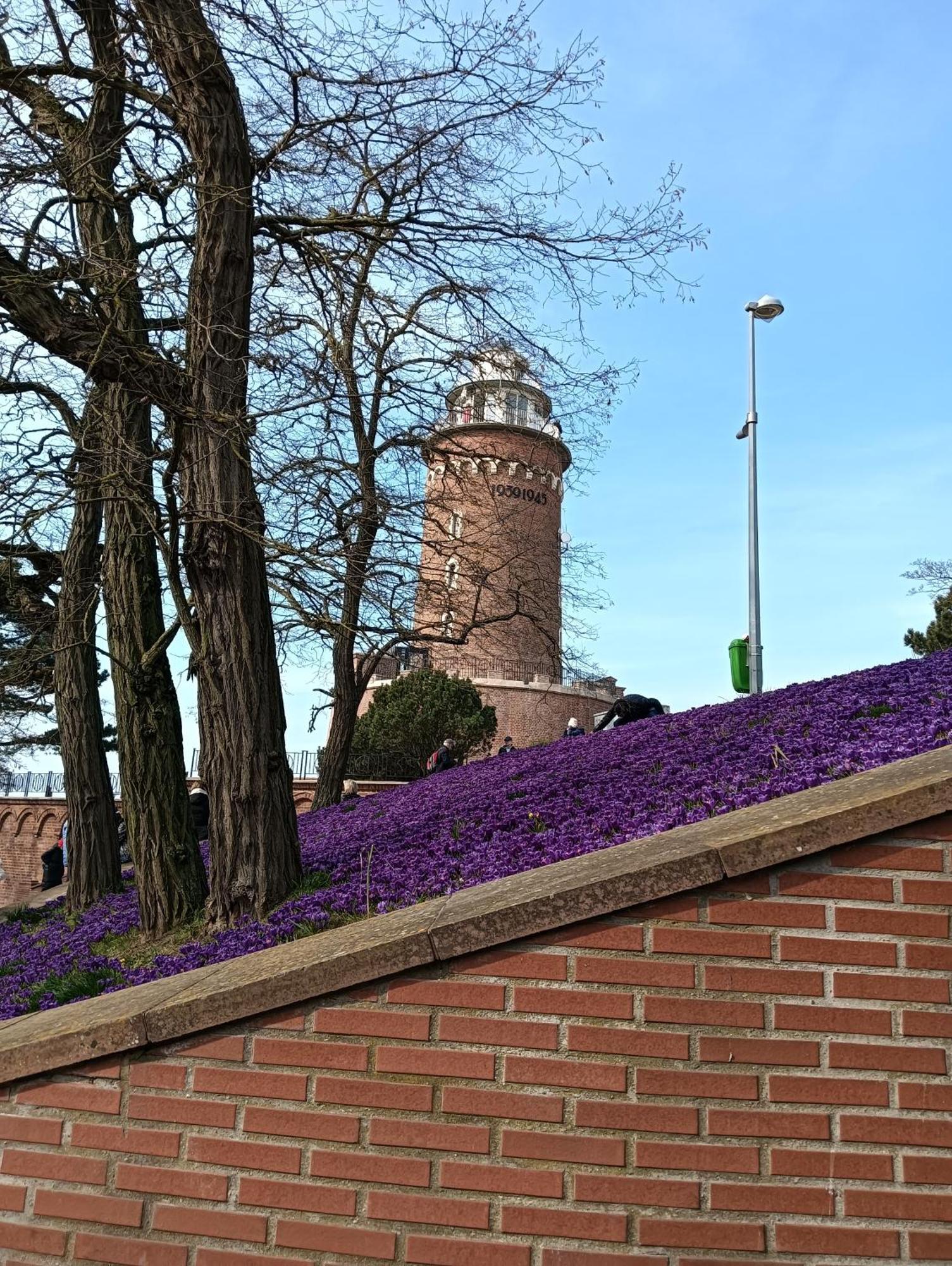 Apartament Ale Laba Kołobrzeg Esterno foto